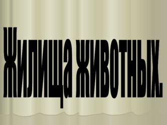 Жилища животных презентация к уроку по окружающему миру (младшая группа)