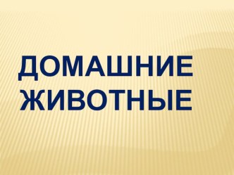 Презентация  Домашние животные презентация к уроку по окружающему миру (средняя группа)