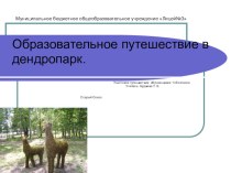 Образовательное путешествие в дендропарк методическая разработка по окружающему миру (1 класс) по теме