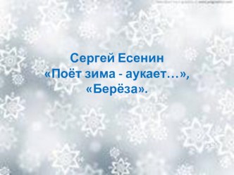 Презентация С. Есенин Поёт зима аукает..., Береза. презентация к уроку по чтению (2 класс)