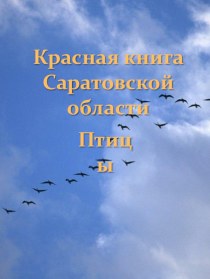 Презентация Красной книги птиц Саратовской области для дошкольников. презентация к занятию по окружающему миру (старшая группа)