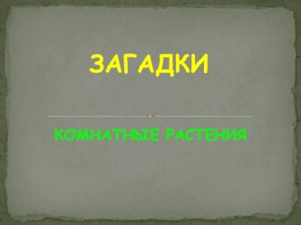 Тематический вечер развлечений Кто живёт на подоконнике методическая разработка по окружающему миру (старшая группа) по теме