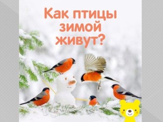 Презентация Как птицы зимой живут? презентация к уроку по окружающему миру (подготовительная группа)