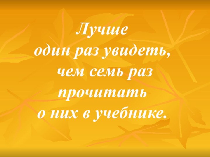 Лучшеодин раз увидеть, чем семь раз прочитать о них в учебнике.