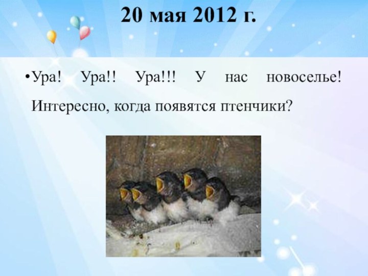 20 мая 2012 г. Ура! Ура!! Ура!!! У нас новоселье! Интересно, когда появятся птенчики?