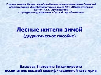 План-конспект НОД Лесные жители зимой методическая разработка по окружающему миру (старшая группа)