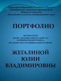 ПОРТФОЛИО ДОКУМЕНТОВ ВОСПИТАТЕЛЯ 2017 презентация