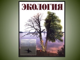 Берегите природу.Классный час . 4 класс Презентация презентация к уроку (4 класс) по теме