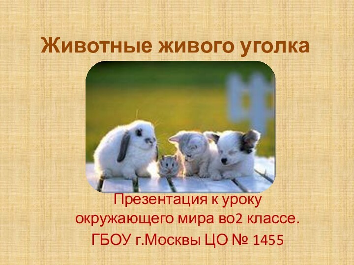 Животные живого уголкаПрезентация к уроку окружающего мира во2 классе.ГБОУ г.Москвы ЦО № 1455