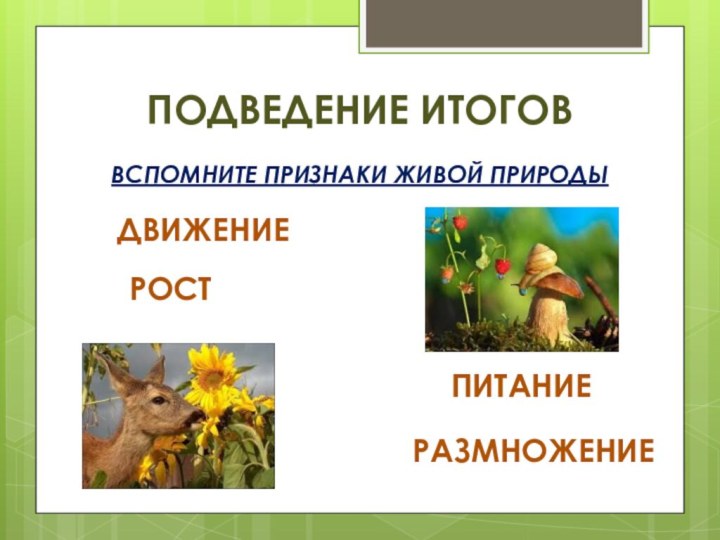 ПОДВЕДЕНИЕ ИТОГОВВСПОМНИТЕ ПРИЗНАКИ ЖИВОЙ ПРИРОДЫДВИЖЕНИЕРОСТПИТАНИЕРАЗМНОЖЕНИЕ