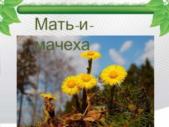 Мать-и-мачеха план-конспект урока по технологии (3, 4 класс) по теме