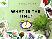 What's the time? презентация к уроку по иностранному языку (3 класс) по теме