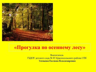 Презентация Осення прогулка видеоурок (старшая группа)