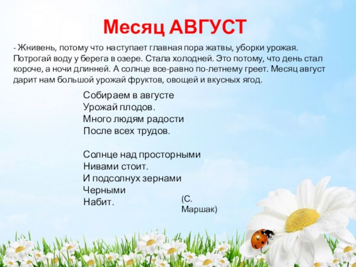 Месяц АВГУСТ- Жнивень, потому что наступает главная пора жатвы, уборки урожая. Потрогай