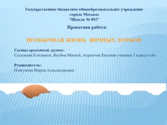 Презентация проекта Необычная жизнь яичных лотков ученики Якубов Матвей, Ахремчик Евгения, Селезнева Елизавета. Руководитель проекта Платунова М.А. презентация к уроку (3 класс)