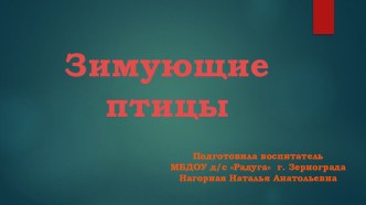 Презентация Зимующие птицы презентация к уроку по окружающему миру (средняя группа)