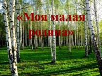 Моя малая родина. классный час (4 класс) по теме