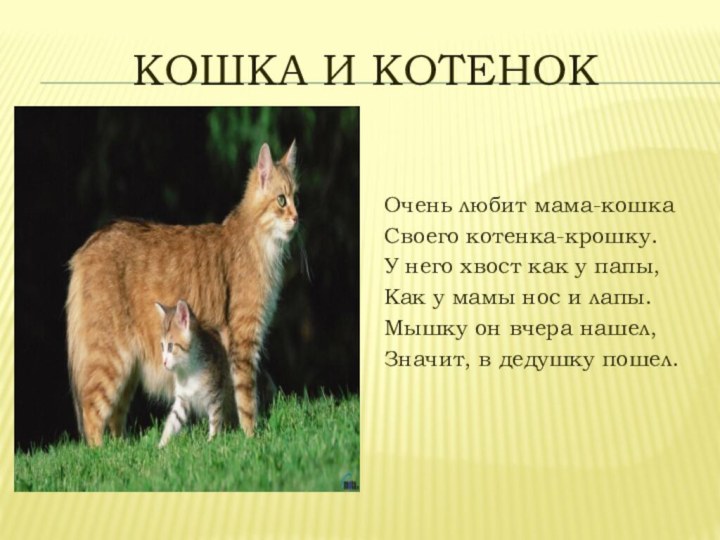 Кошка и котенокОчень любит мама-кошкаСвоего котенка-крошку.У него хвост как у папы,Как у