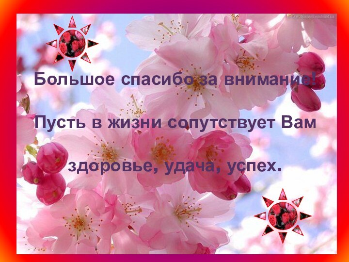 Большое спасибо за внимание!  Пусть в жизни сопутствует Вам  здоровье, удача, успех.