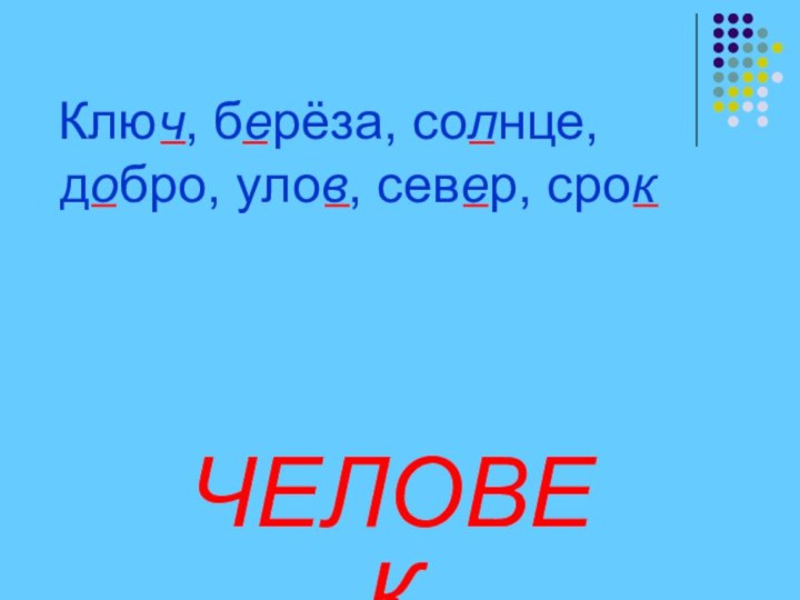 Ключ, берёза, солнце, добро, улов, север, срок