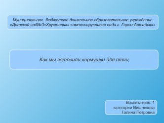 презентация по экологическому развитию Как мы готовили кормушки для птиц  в подготовительной группе презентация по окружающему миру