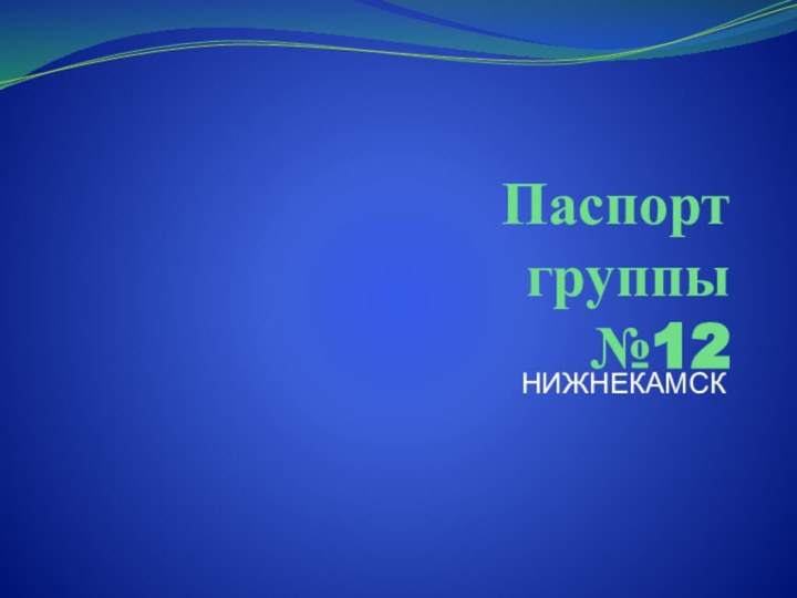 Паспорт  группы  №12 НИЖНЕКАМСК