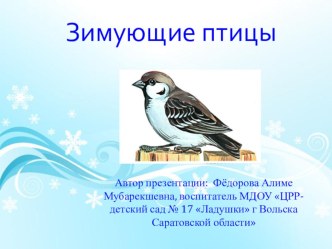 Презентация Зимующие птицы презентация к уроку по окружающему миру (старшая группа)