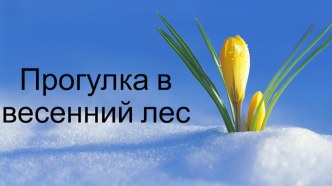 Конспект занятия по развитию речи в средней группе : Как красив весенний лес план-конспект занятия по логопедии (средняя группа)