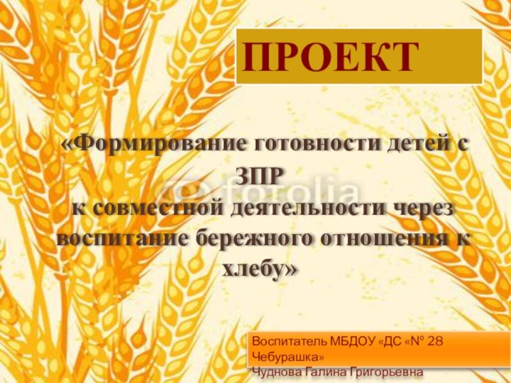 «Формирование готовности детей с ЗПР к совместной деятельности через воспитание бережного