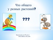 Части растений 1 класс презентация к уроку по окружающему миру (1 класс)