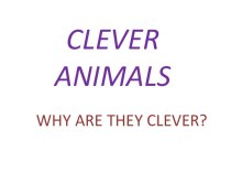 Презентация к бинарному уроку  Clever animals презентация к уроку по иностранному языку (3 класс)
