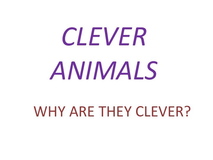 CLEVER ANIMALSWHY ARE THEY CLEVER?