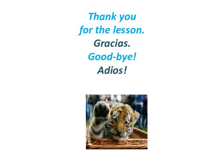 Thank you for the lesson.Gracias.Good-bye!Adios!