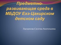 Проект Предметно-развивающая среда презентация к уроку (средняя, старшая группа)