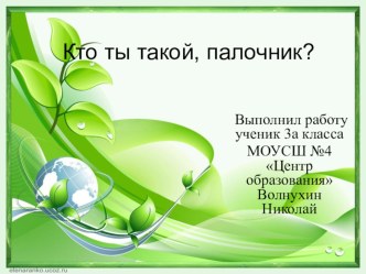 исследовательские работы учеников презентация к уроку (3 класс)