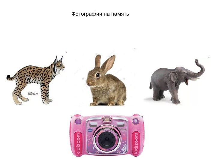 Фотографии на память