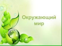 Урок по окружающему миру Вкус план-конспект занятия по окружающему миру (4 класс) по теме