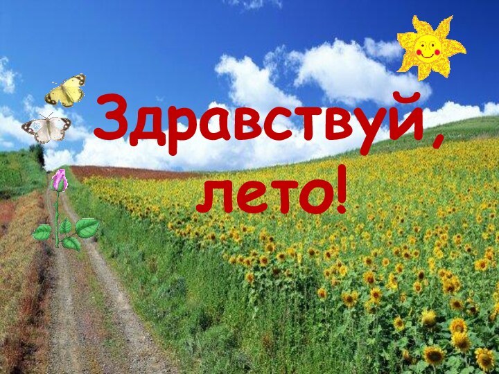 Здравствуй, лето!