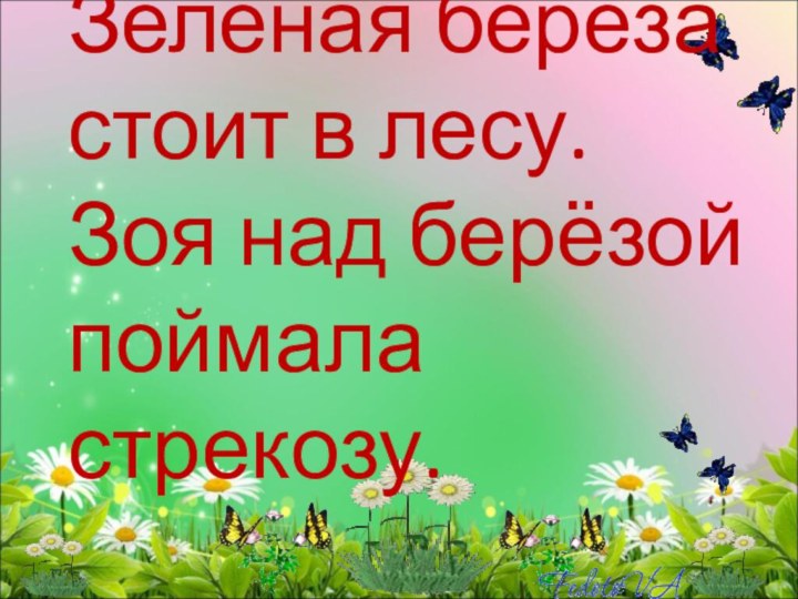 Зелёная берёза стоит в лесу. Зоя над берёзой поймала стрекозу.