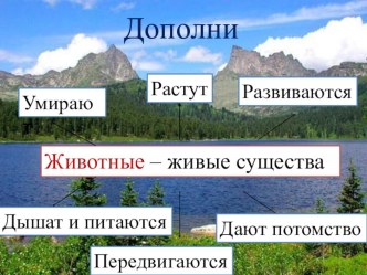 Урок окружающего мира Животные леса план-конспект урока по окружающему миру (2 класс)