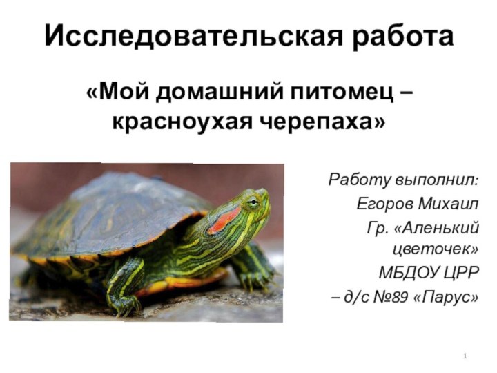 Исследовательская работаРаботу выполнил: Егоров МихаилГр. «Аленький цветочек»МБДОУ ЦРР – д/с №89 «Парус»«Мой