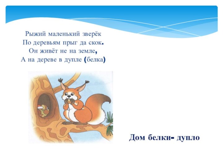 Рыжий маленький зверёкПо деревьям прыг да скок.Он живёт не на земле,А на