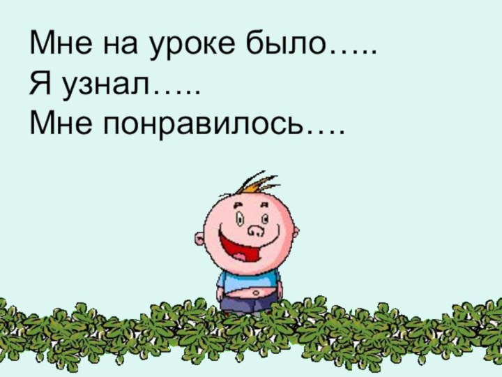 Мне на уроке было…..Я узнал…..Мне понравилось….