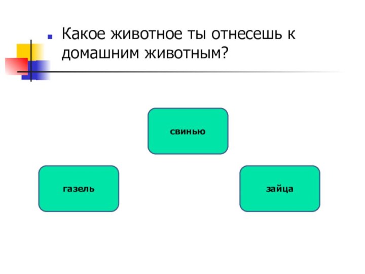 Какое животное ты отнесешь к домашним животным?свиньюгазель зайца