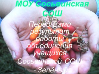 Объединение Зелёный патруль презентация к уроку