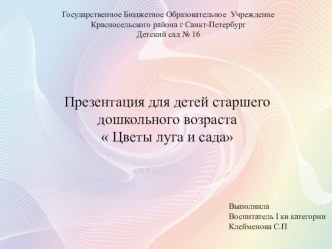 Презентация для детей старшей группы по теме  Растения сада и луга презентация к уроку по окружающему миру (старшая группа)