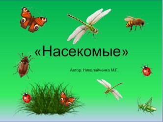 Презентация Насекомые презентация к уроку по окружающему миру (средняя, старшая группа) по теме