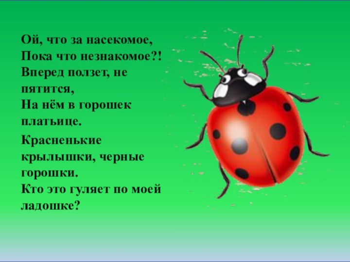 Ой, что за насекомое, Пока что незнакомое?! Вперед ползет, не пятится, На