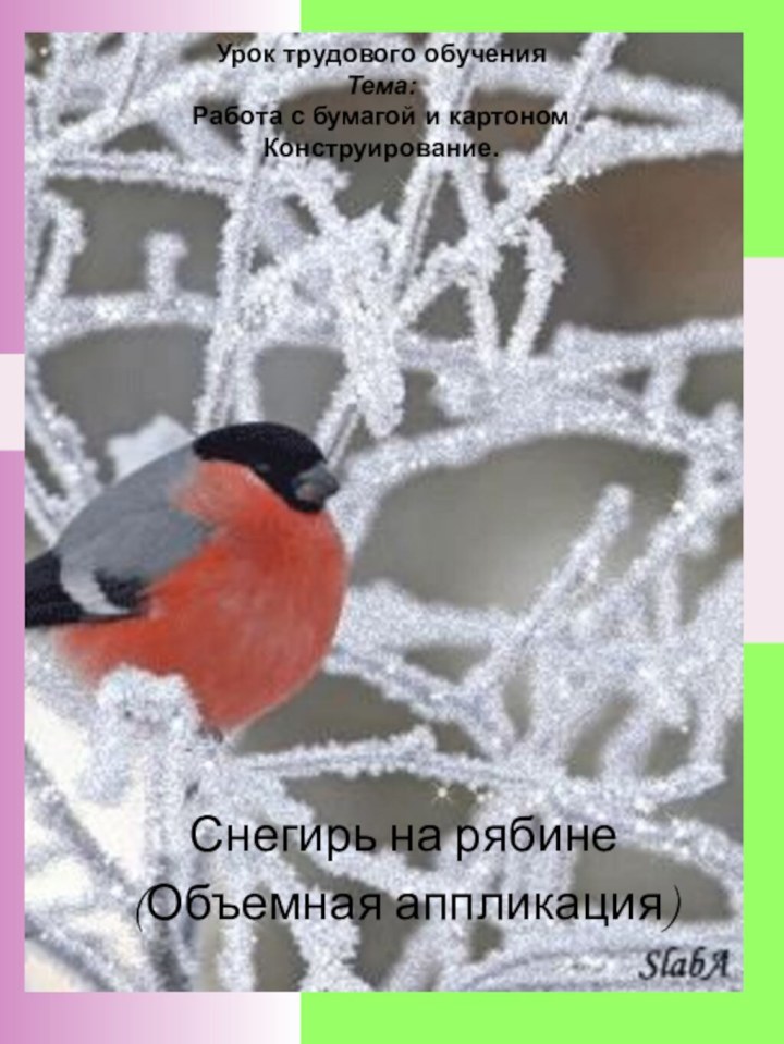 Урок трудового обучения  Тема:  Работа с бумагой и картоном