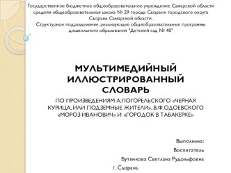 МУЛЬТИМЕДИЙНЫЙ ИЛЛЮСТРИРОВАННЫЙ СЛОВАРЬ презентация к уроку по развитию речи (старшая, подготовительная группа)